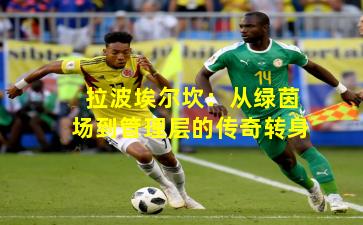 拉波埃尔坎：从绿茵场到管理层的传奇转身