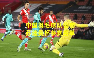 中国羽毛球队公布苏迪曼杯参赛名单