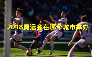 2018奥运会在哪个城市举办