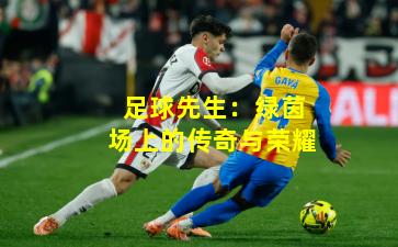 足球先生:绿茵场上的传奇与荣耀