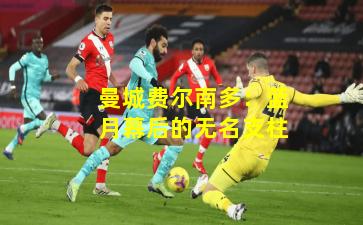 曼城费尔南多：蓝月幕后的无名支柱